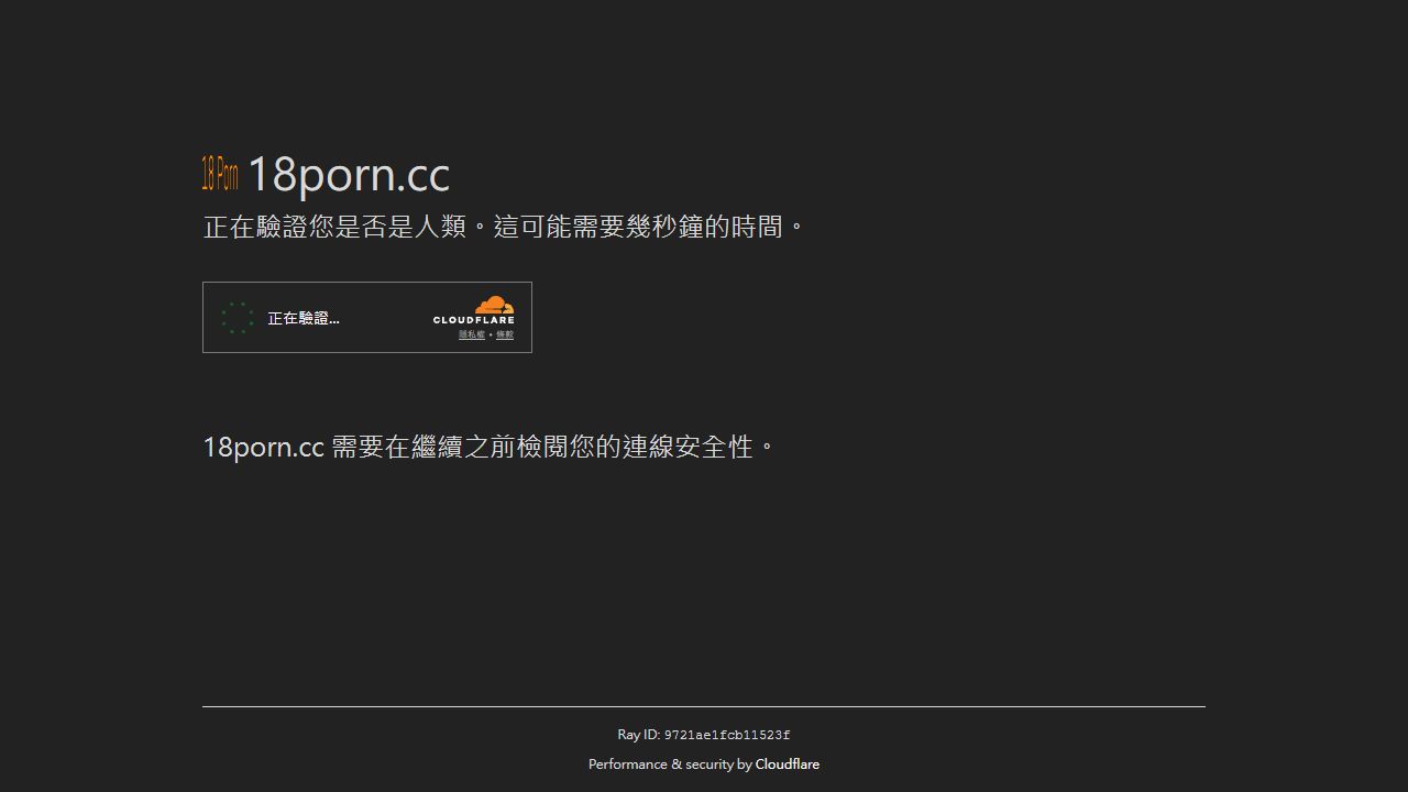 18Porn 最新网站截图