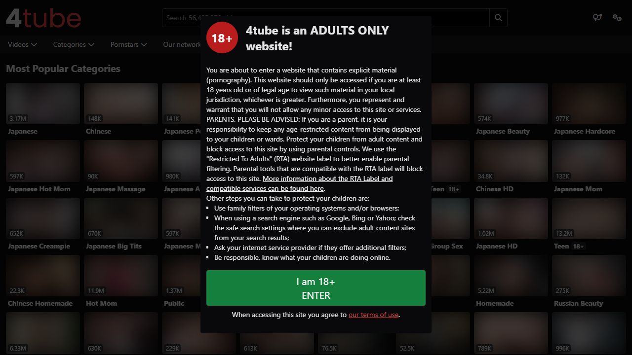 4Tube 最新网站截图