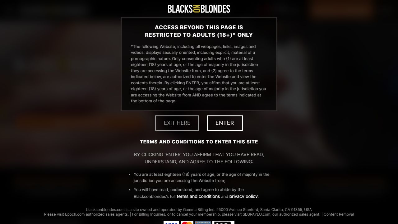 Blacks On Blondes 最新网站截图