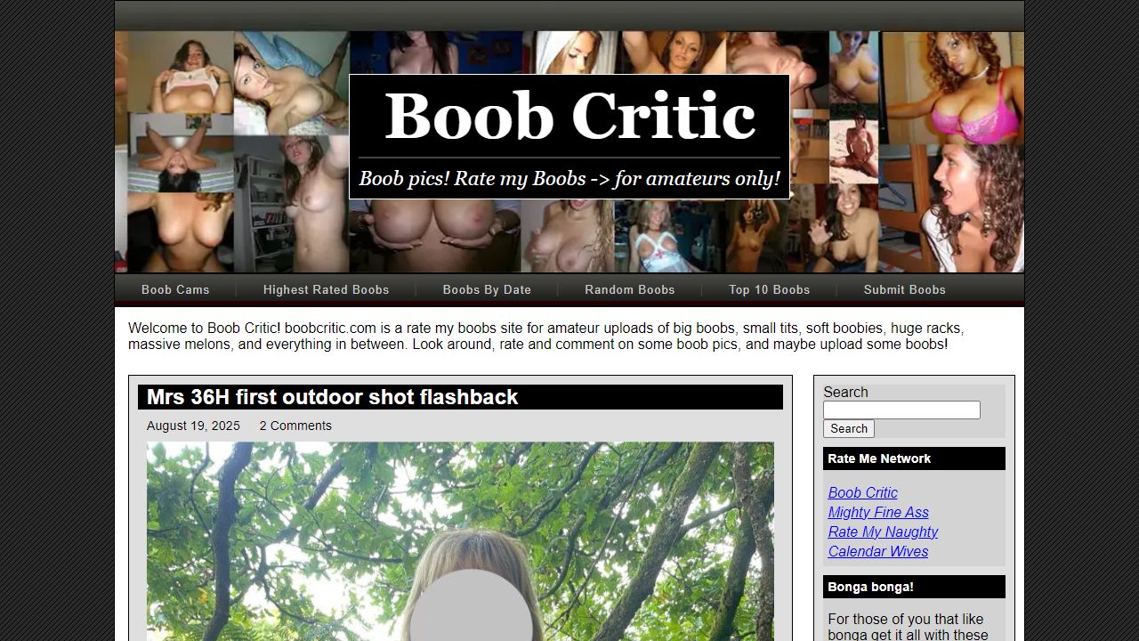 BoobCritic 最新网站截图