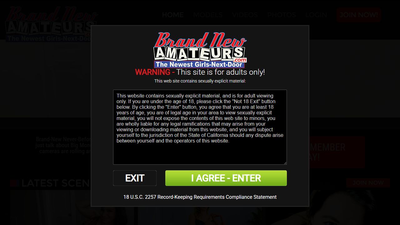 Brand New Amateurs 最新网站截图