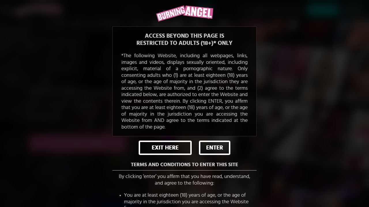 Burning Angel 最新网站截图