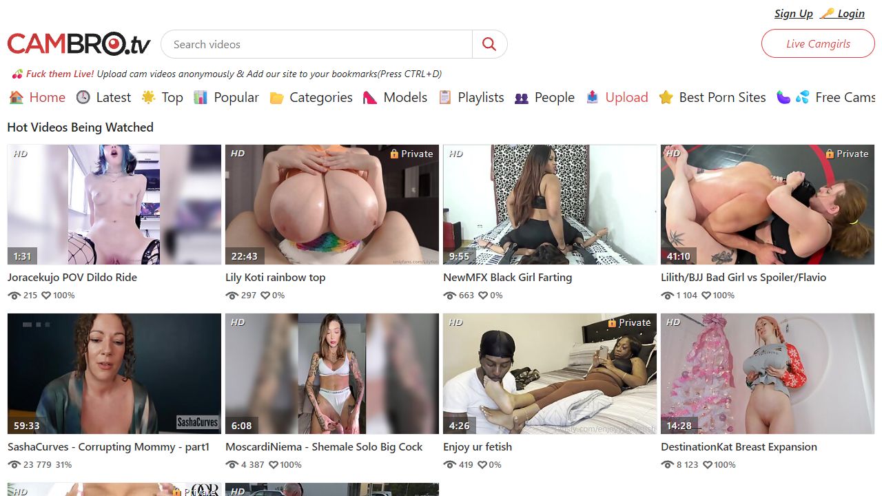 CamBro 最新网站截图