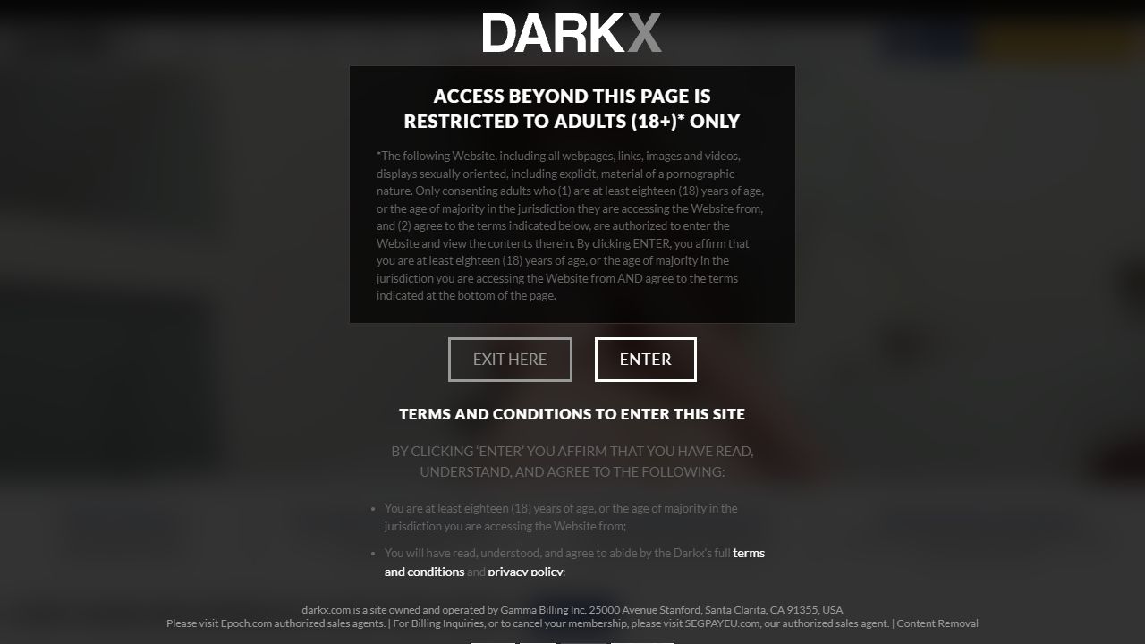 DarkX 最新网站截图