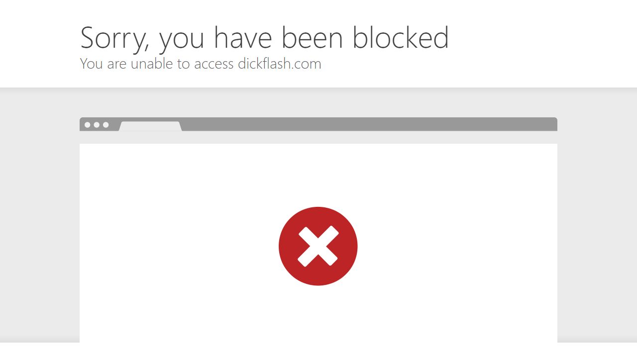 DickFlash 最新网站截图
