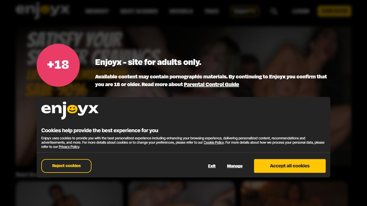 EnjoyX 最新网站截图