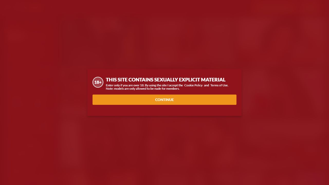 FireCams 最新网站截图