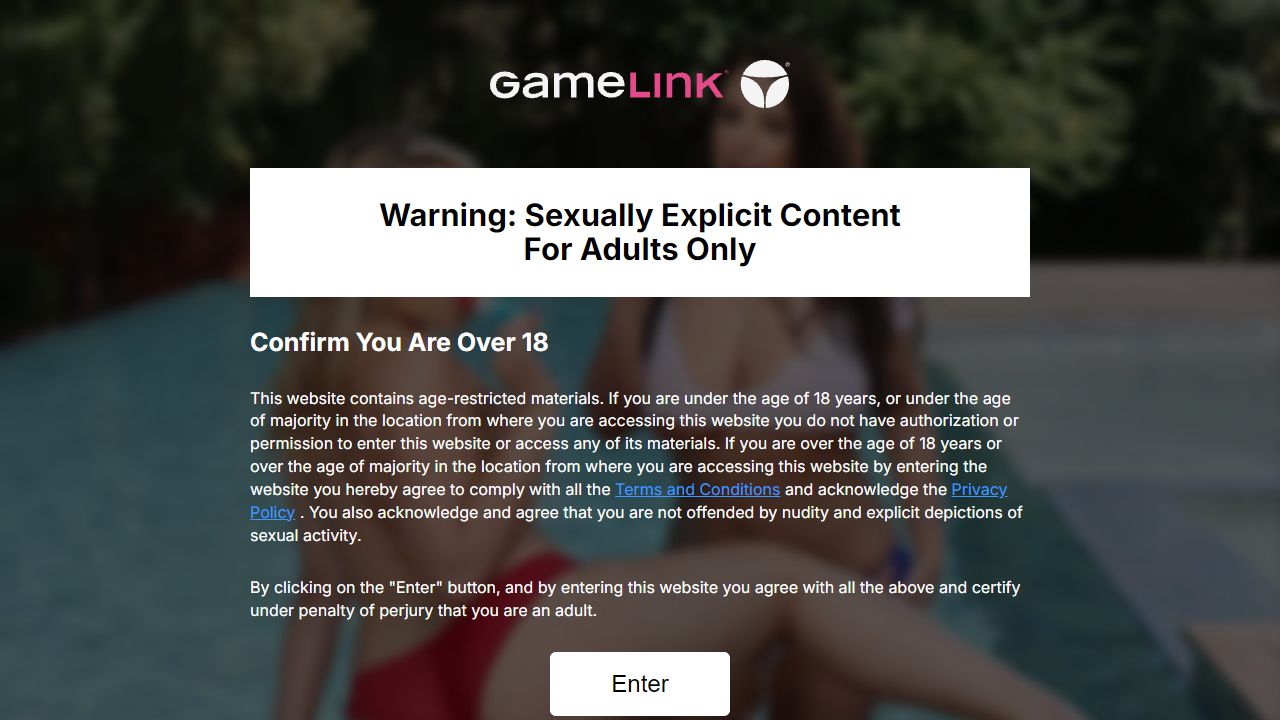 GameLink 最新网站截图