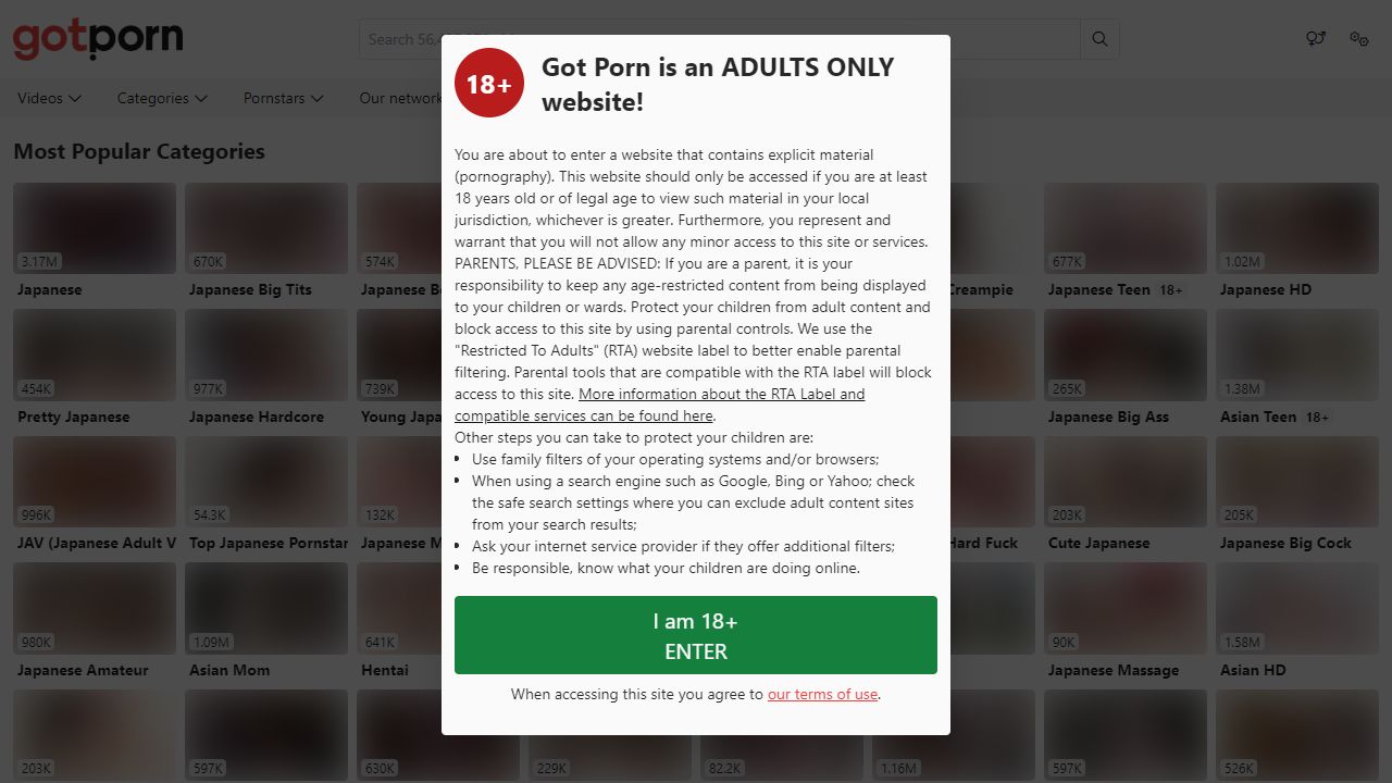 GotPorn 最新网站截图