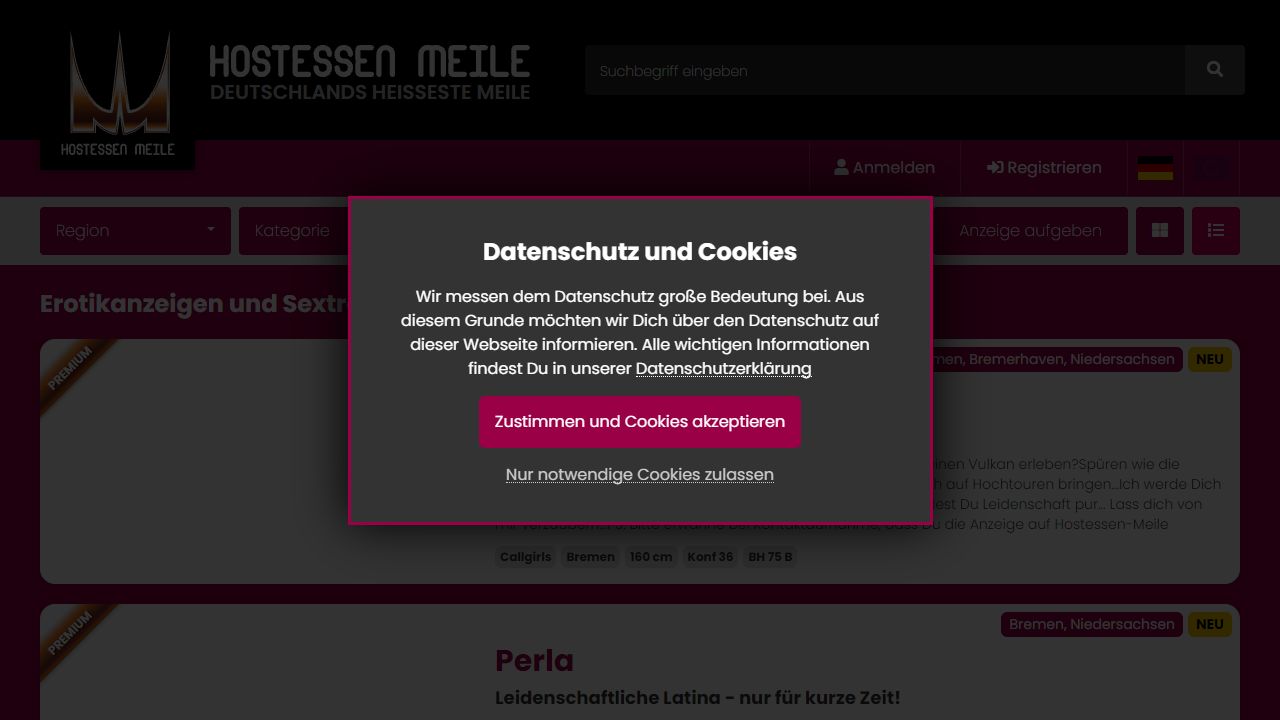 HostessenMeile 最新网站截图