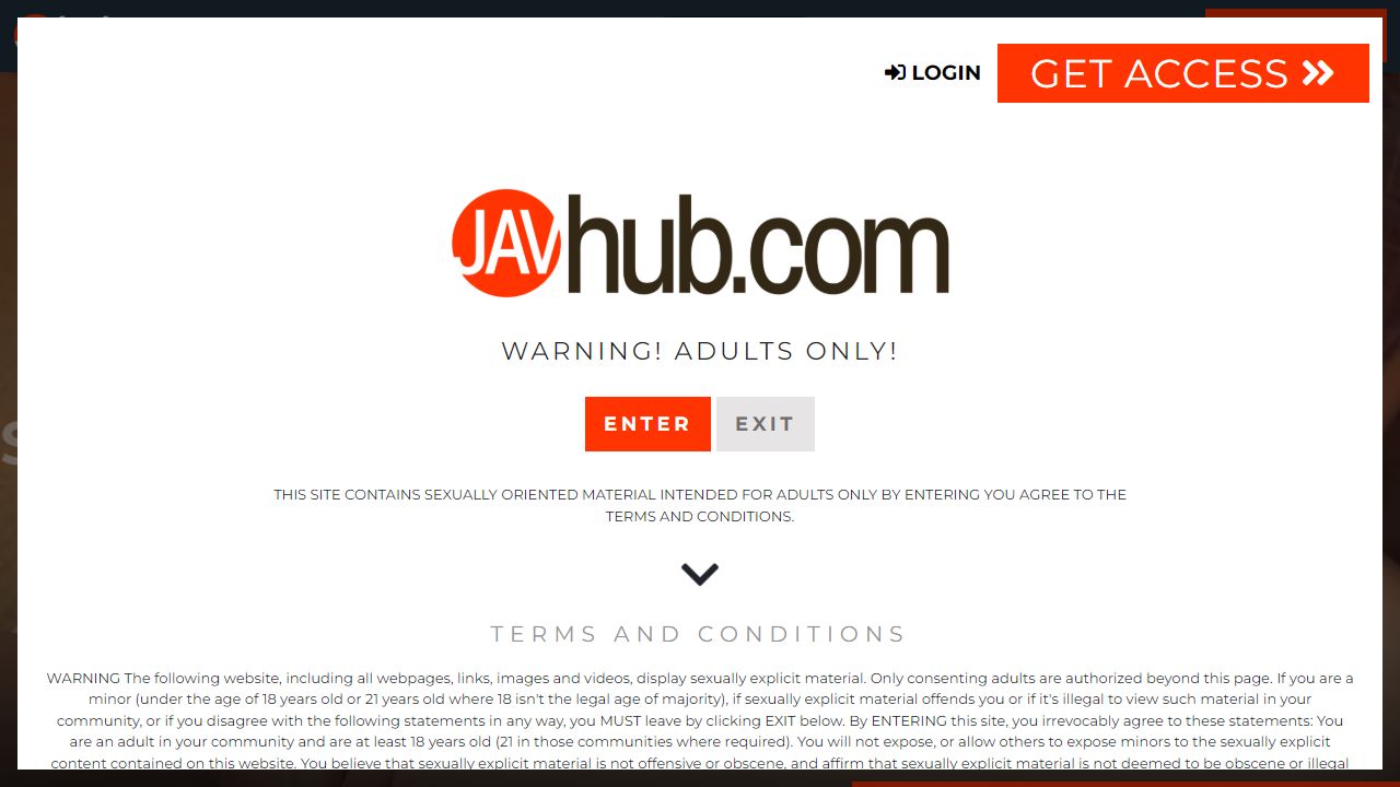 JavHub 最新网站截图