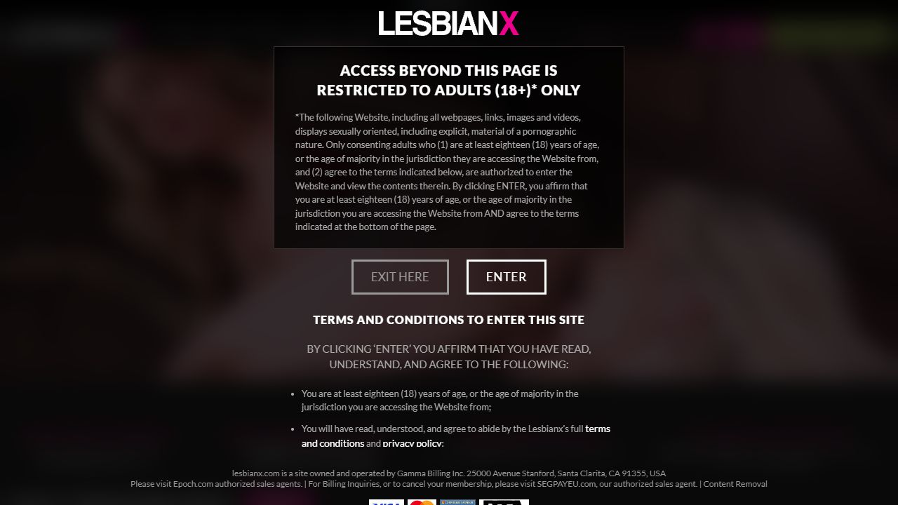 LesbianX 最新网站截图