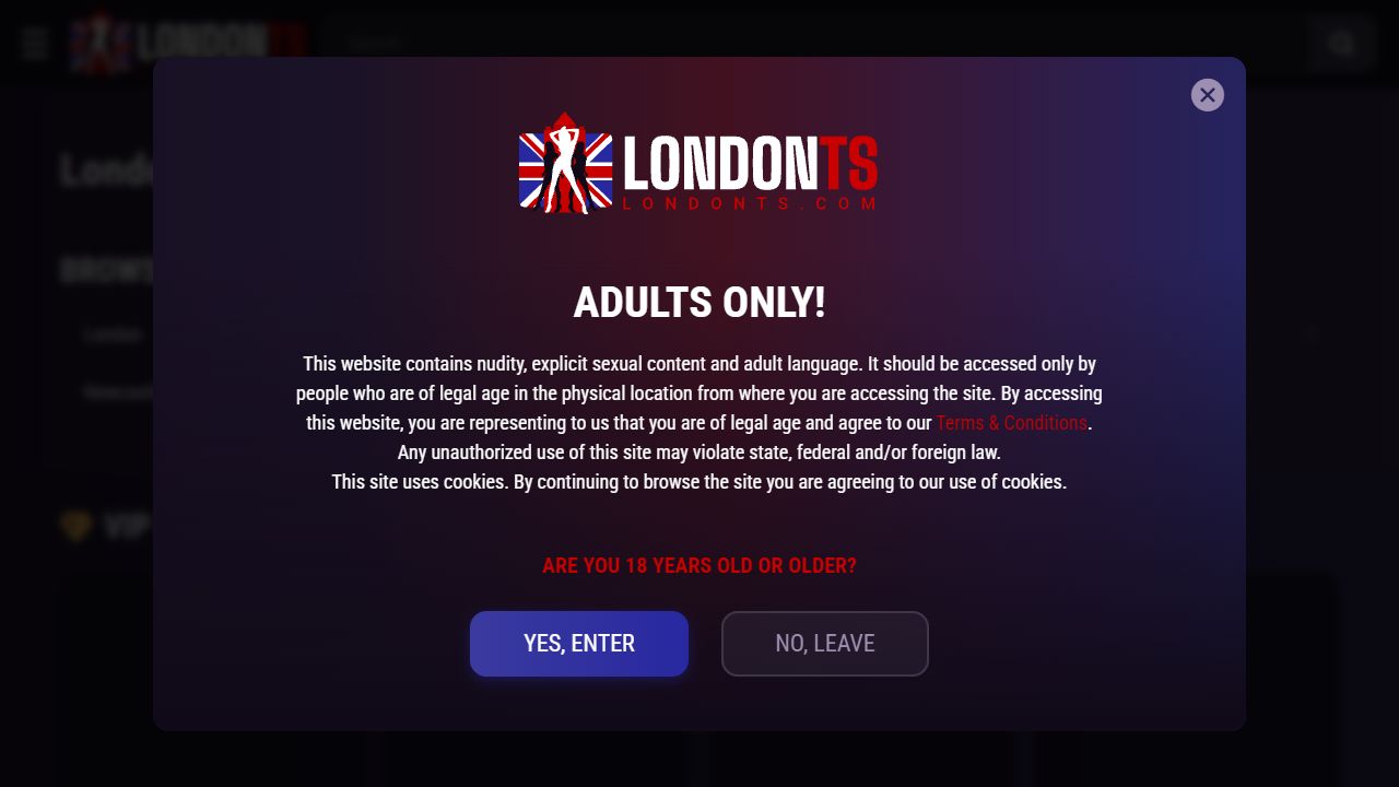 LondonTS 最新网站截图