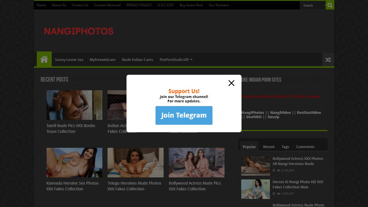 NangiPhotos 最新网站截图