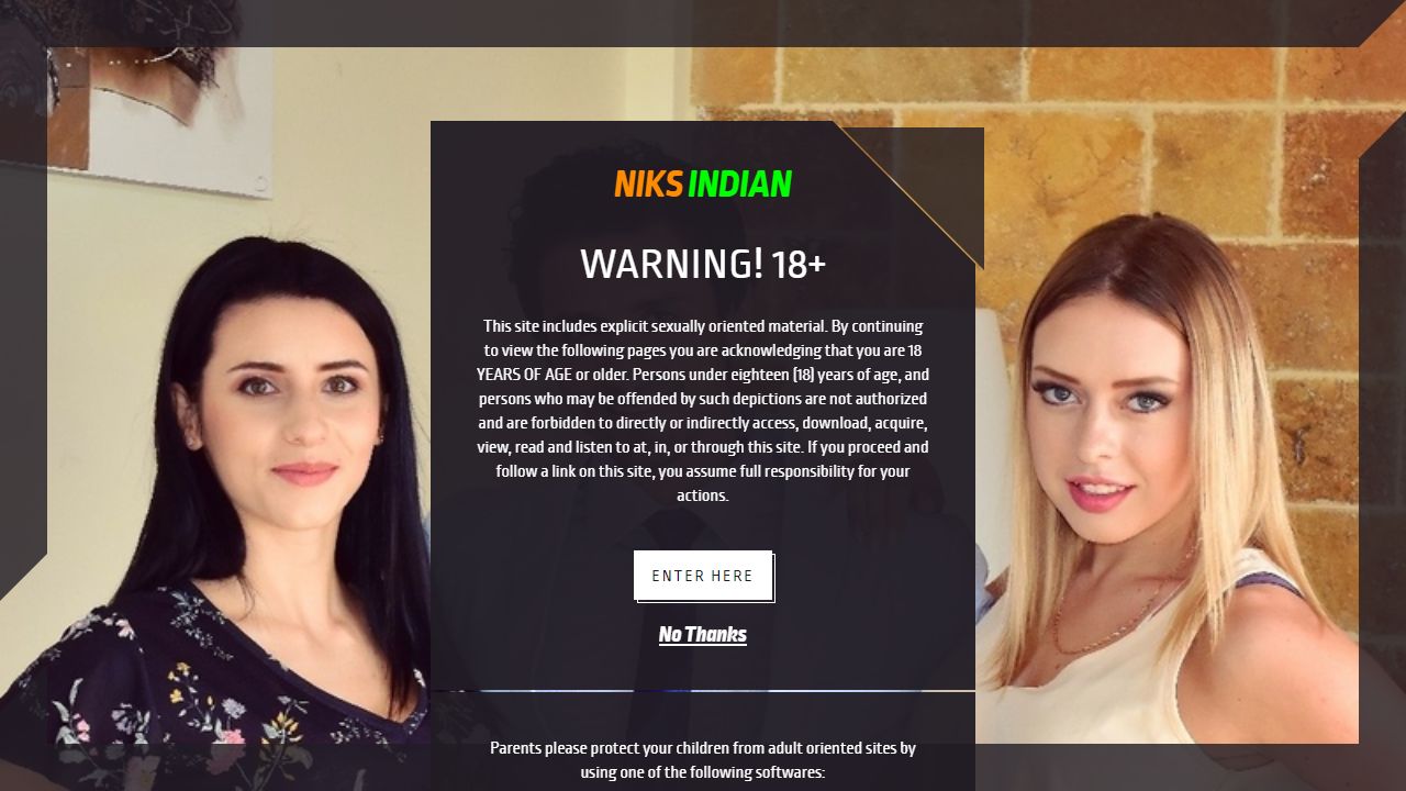 Niks Indian 最新网站截图