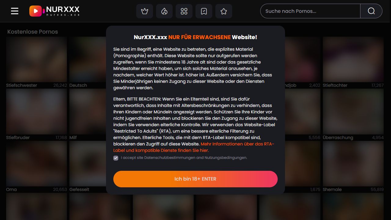 NurXXX 最新网站截图