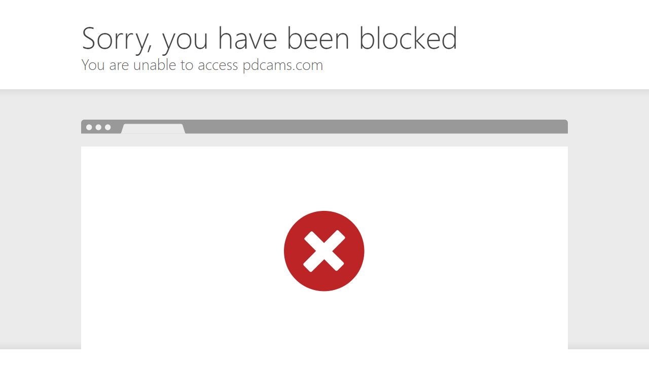 PDCams 最新网站截图