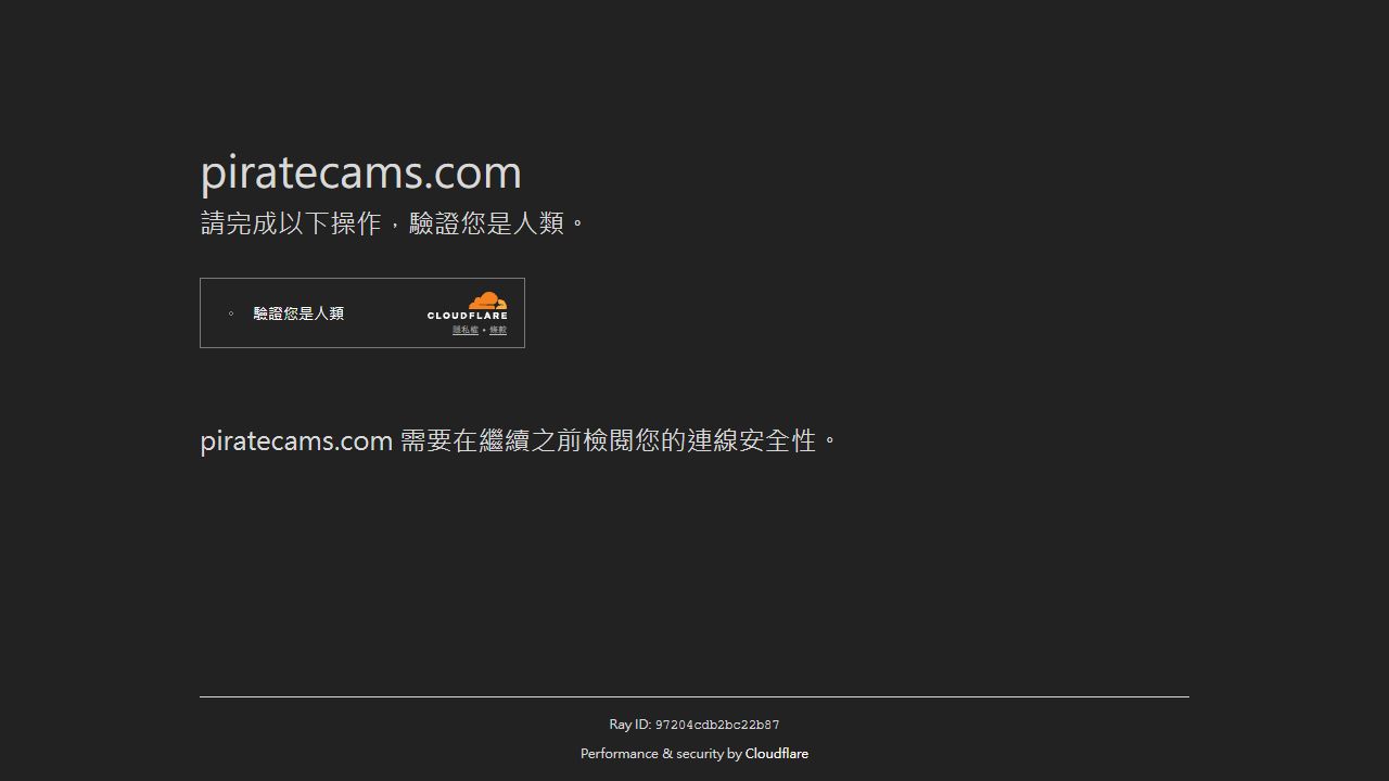 PirateCams 最新网站截图
