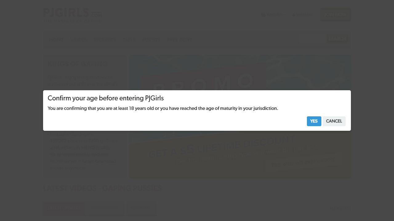 PJGirls 最新网站截图