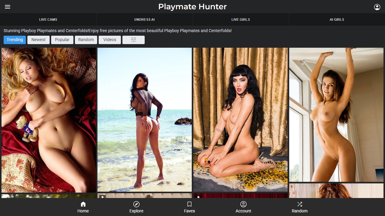PmateHunter 最新网站截图