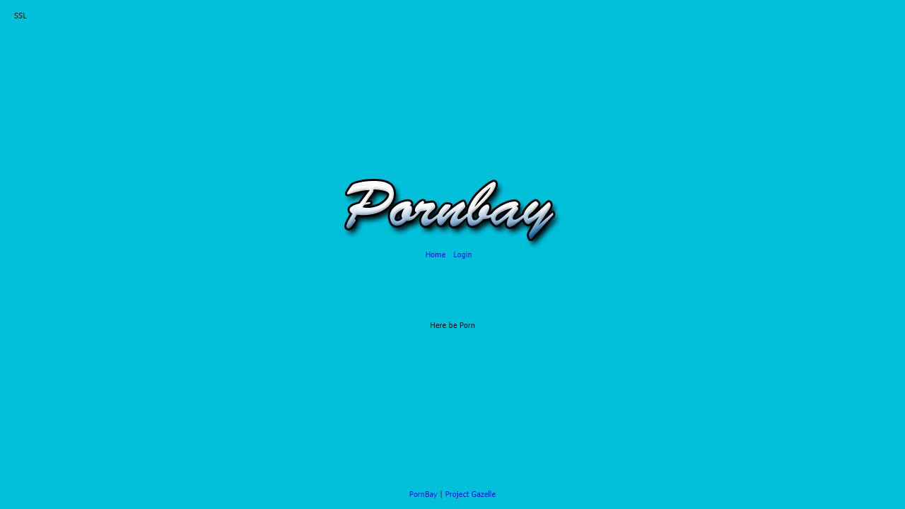 PornBay 最新网站截图