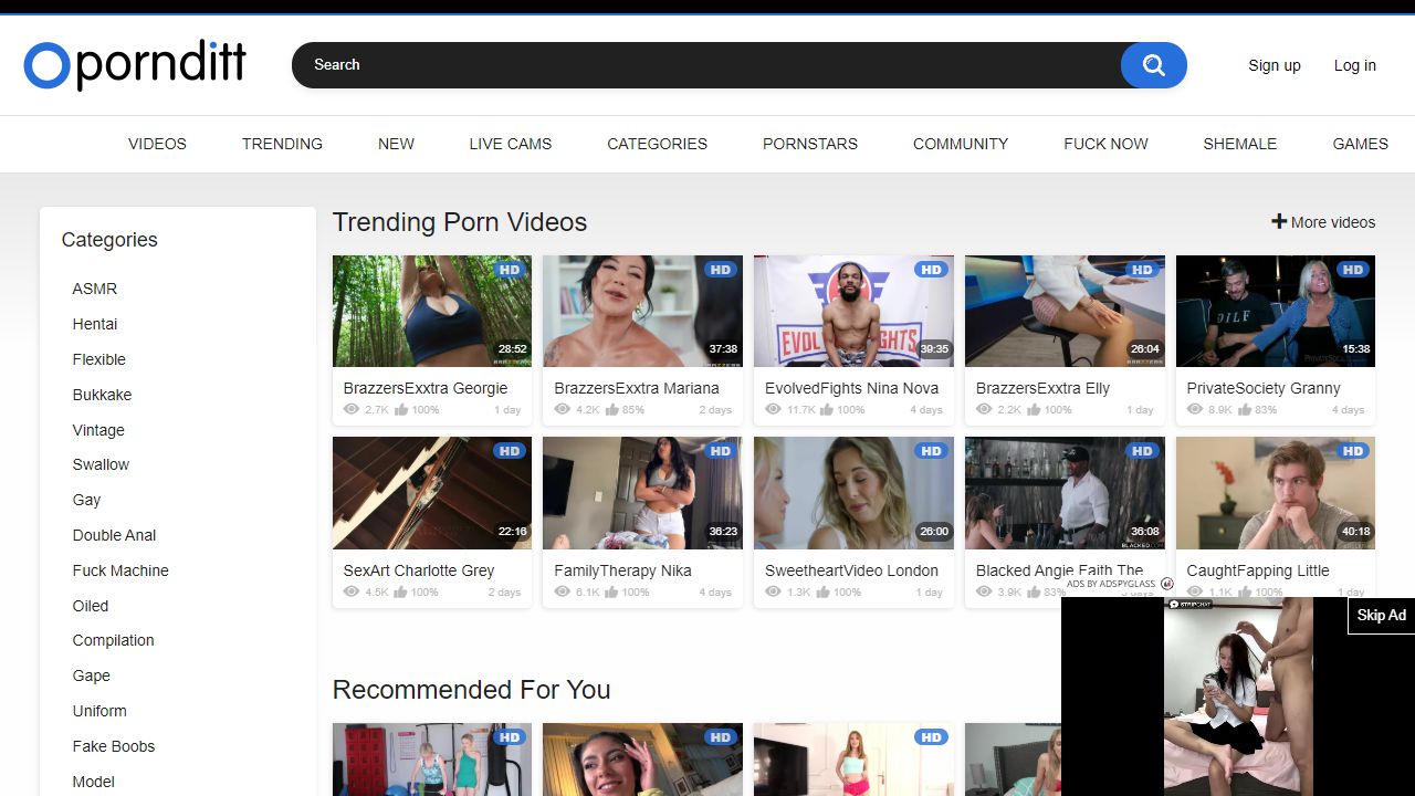 PornDitt 最新网站截图