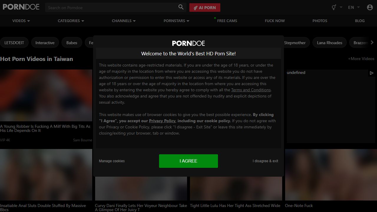 PornDoe 最新网站截图