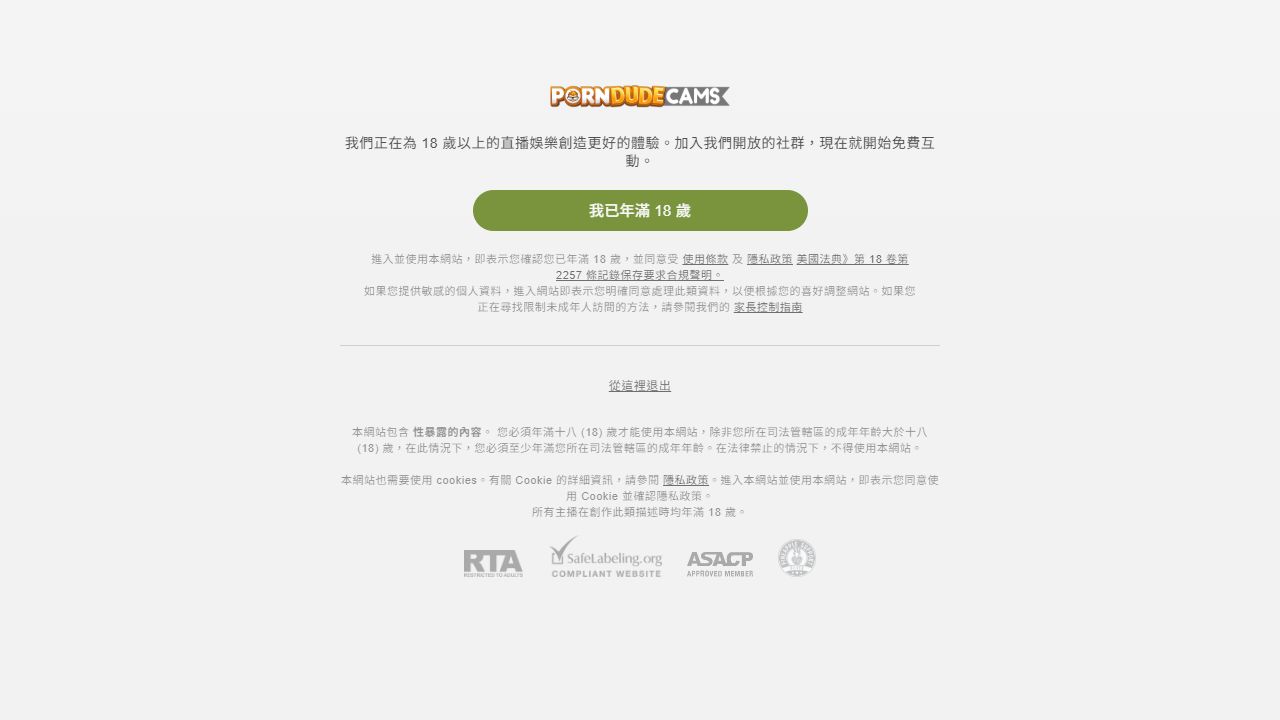 PornDudeCams 最新网站截图
