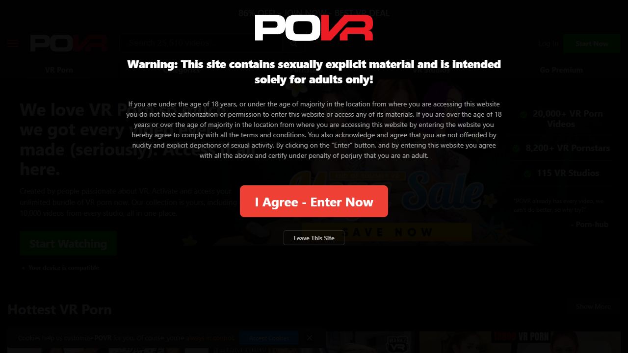POVR.com 最新网站截图
