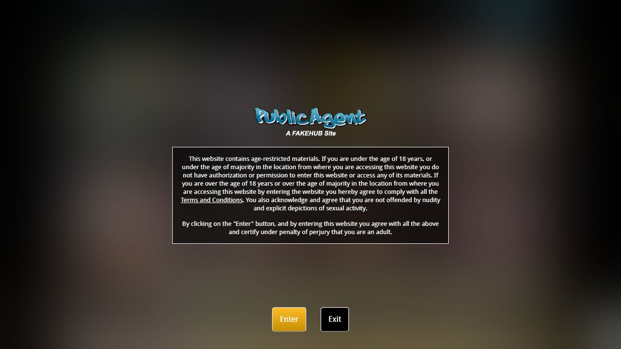 Public Agent 最新网站截图