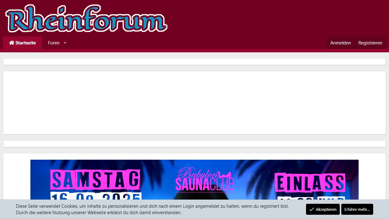 RheinForum 最新网站截图