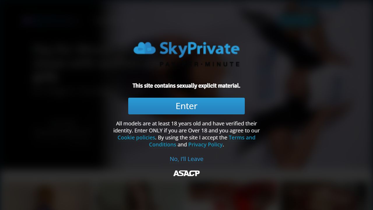 SkyPrivate 最新网站截图