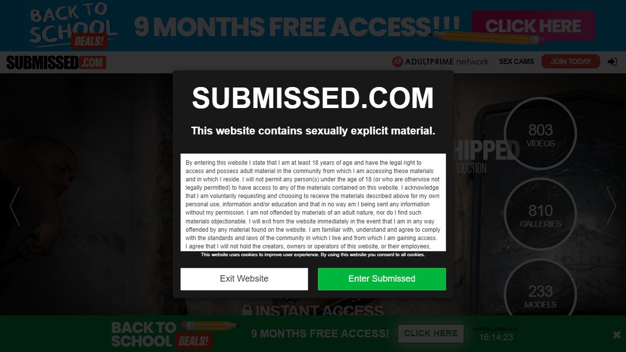 Submissed 最新网站截图