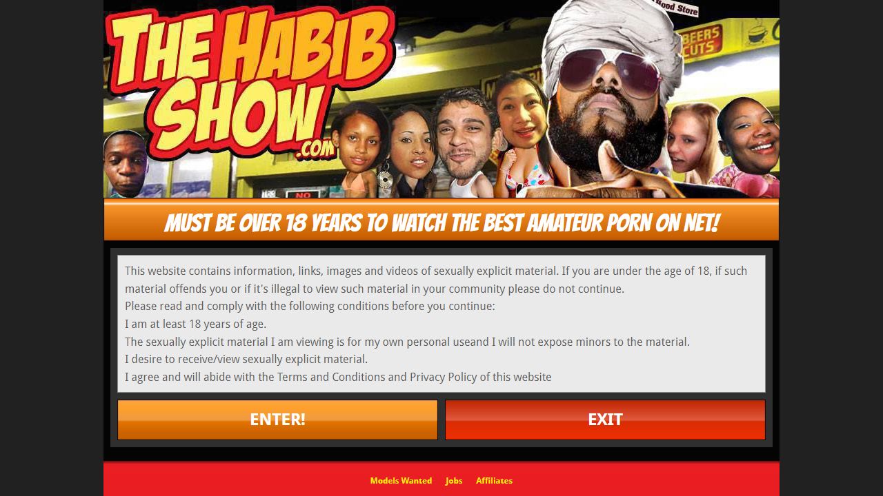 The Habib Show 最新网站截图