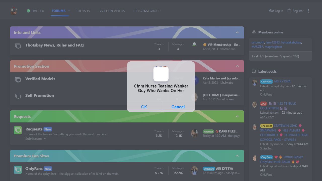 ThotsBay Forum 最新网站截图