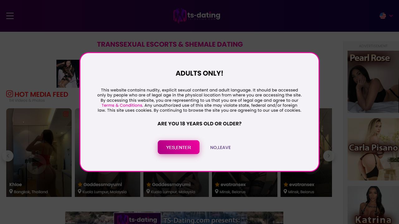TS Dating 最新网站截图