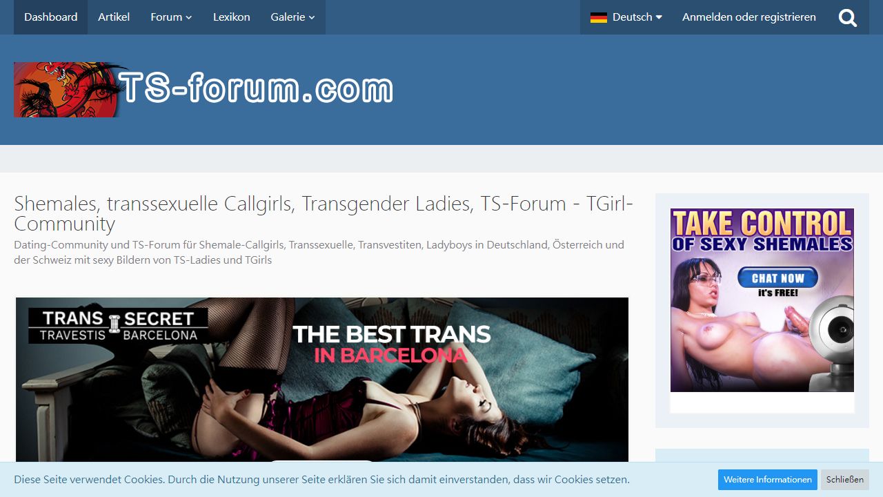 TS Forum 最新网站截图