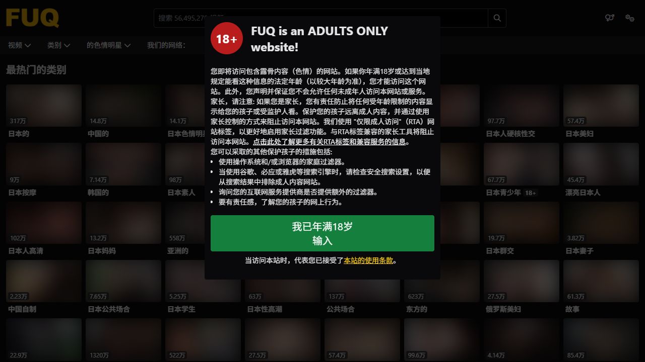 TubeStack 最新网站截图