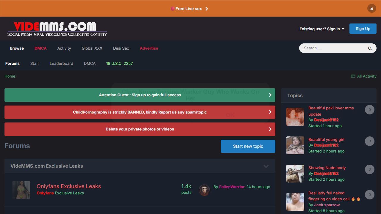 VideMMS 最新网站截图