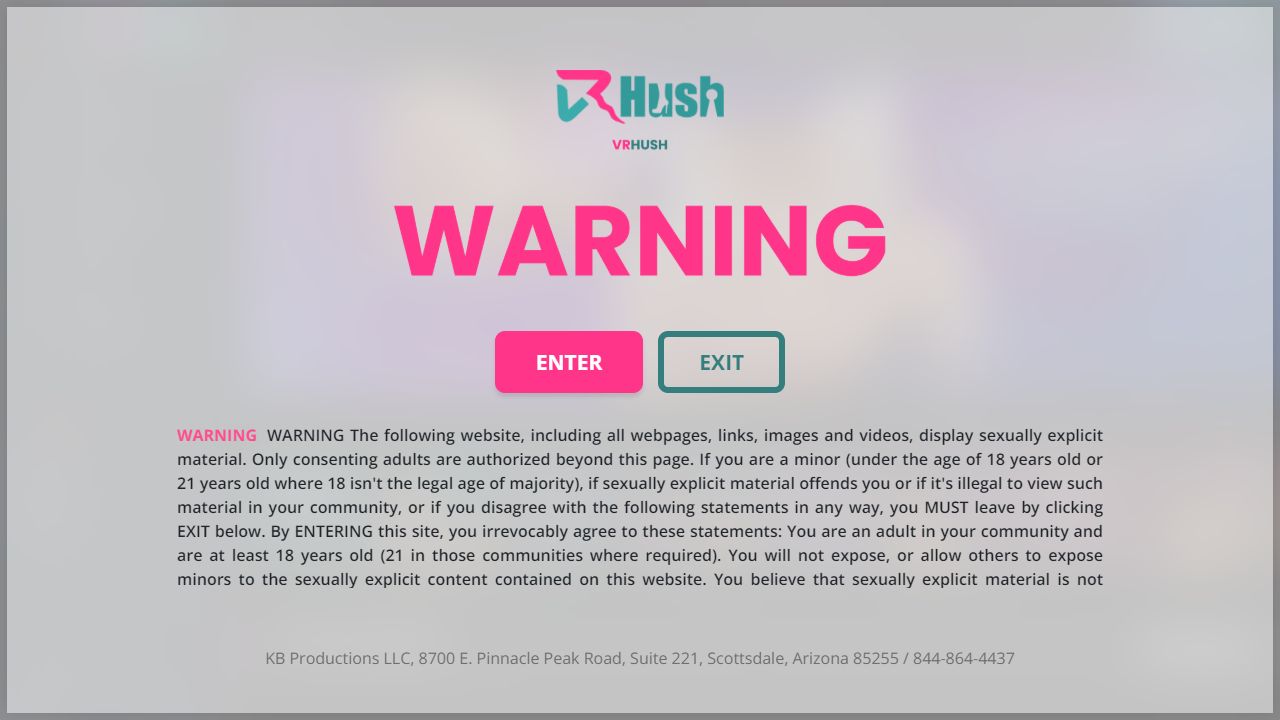 VRHush 最新网站截图