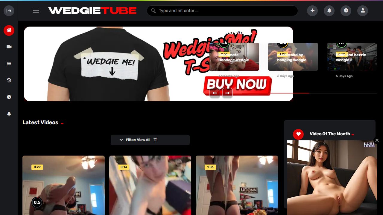 WedgieTube 最新网站截图