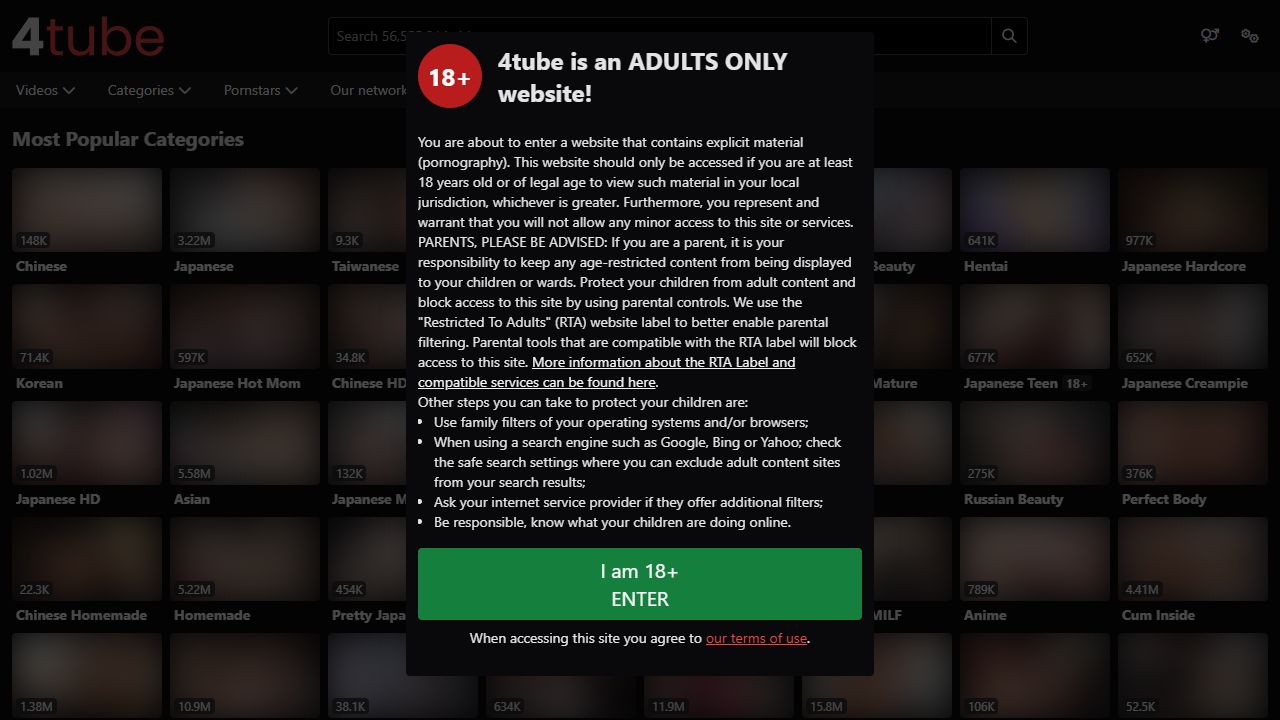 4Tube 最新网站截图