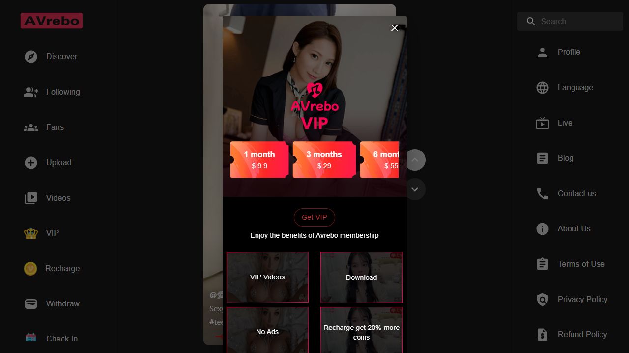 AVrebo 最新网站截图
