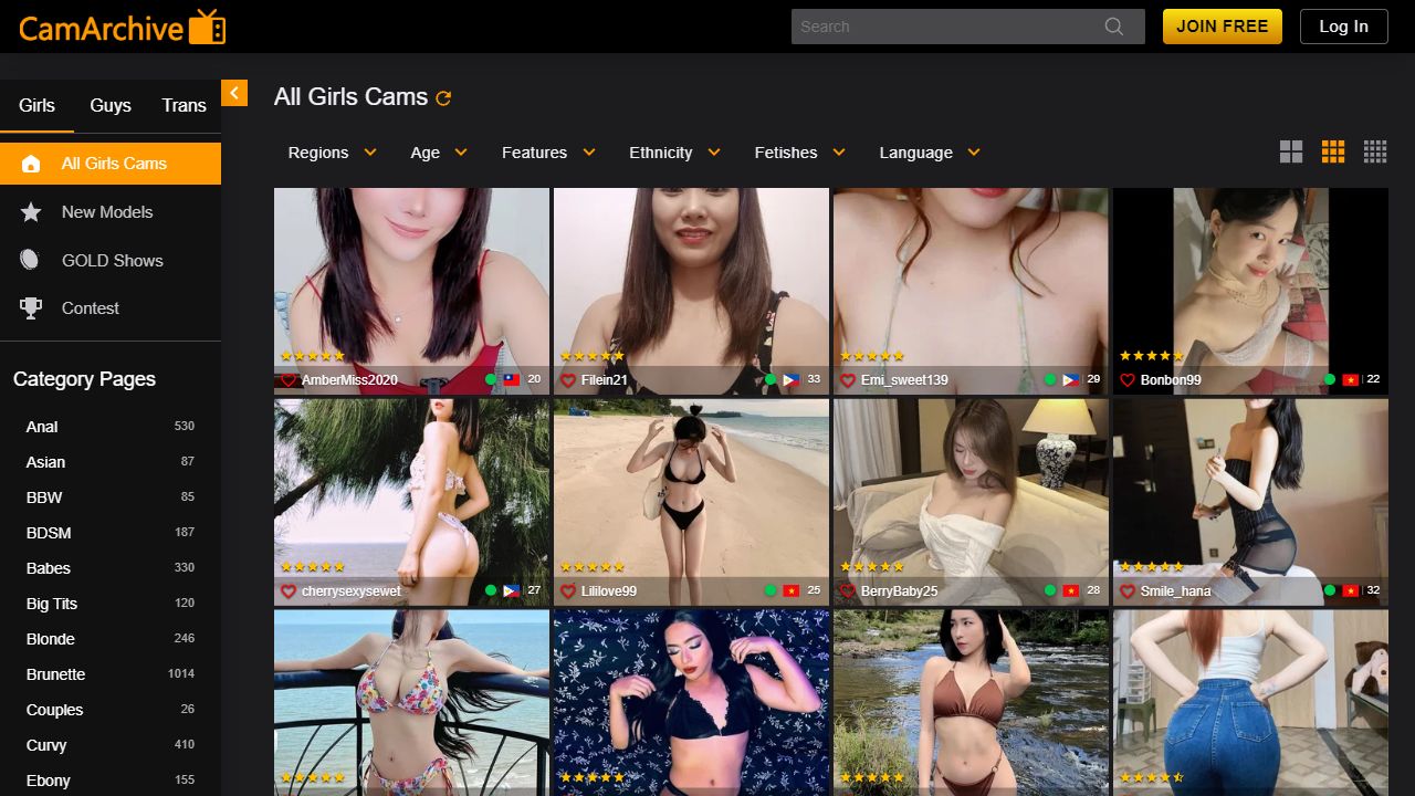 CamArchive 最新网站截图
