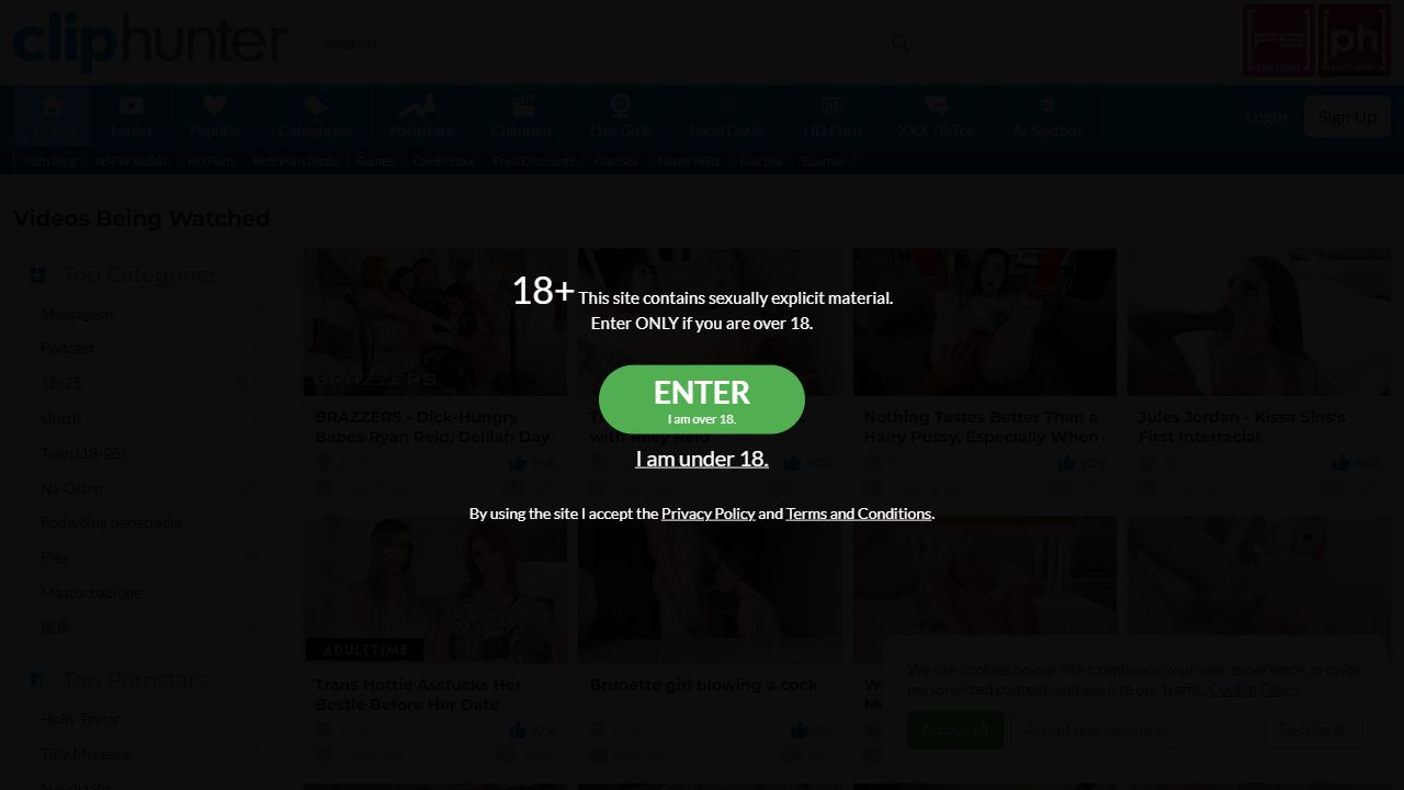 ClipHunter 最新网站截图
