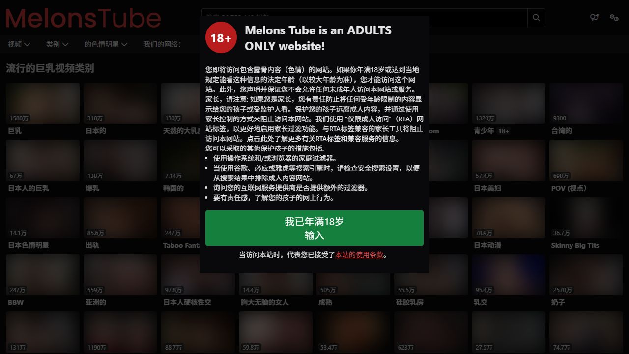 MelonsTube 最新网站截图