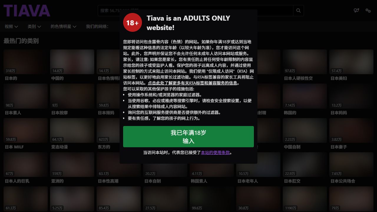 Tiava 最新网站截图