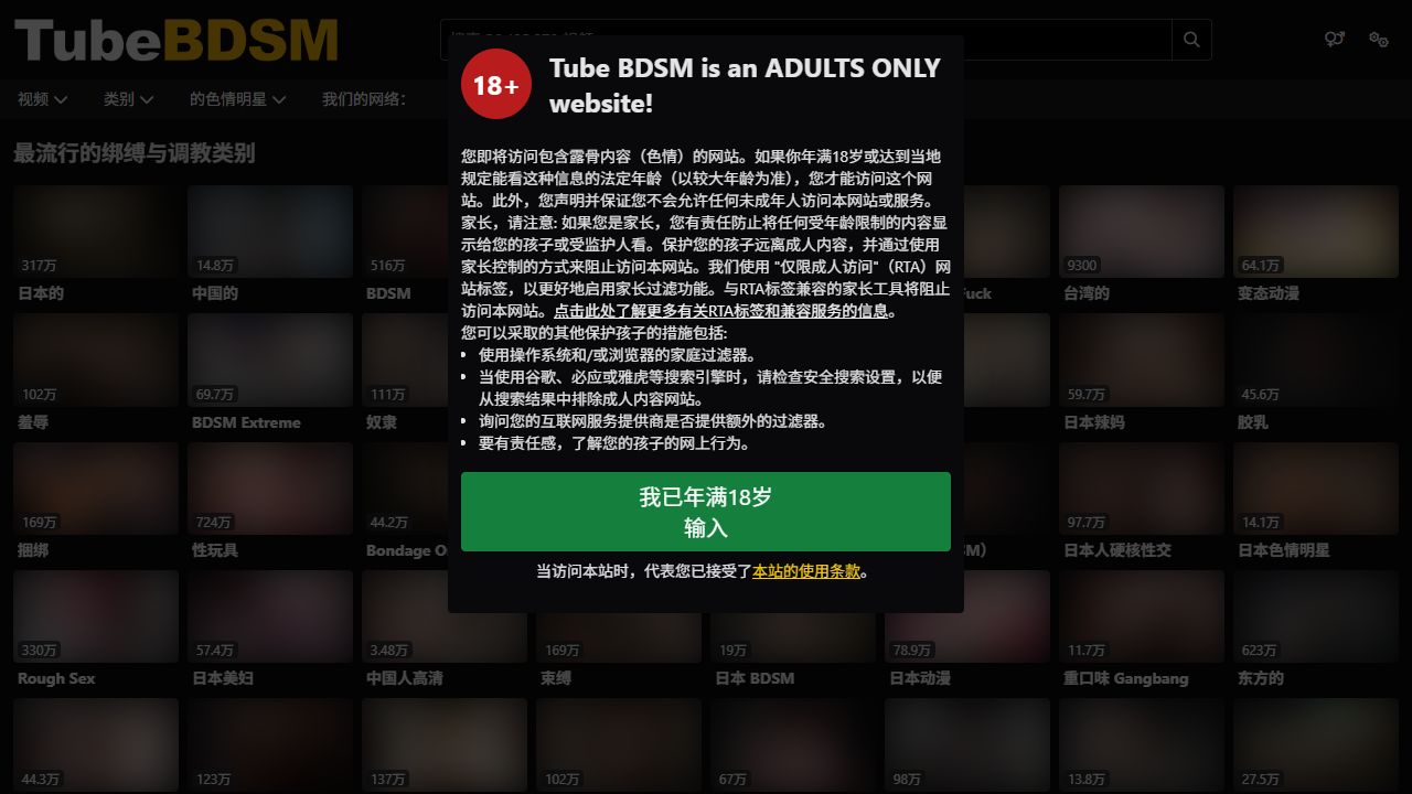 Tube BDSM 最新网站截图