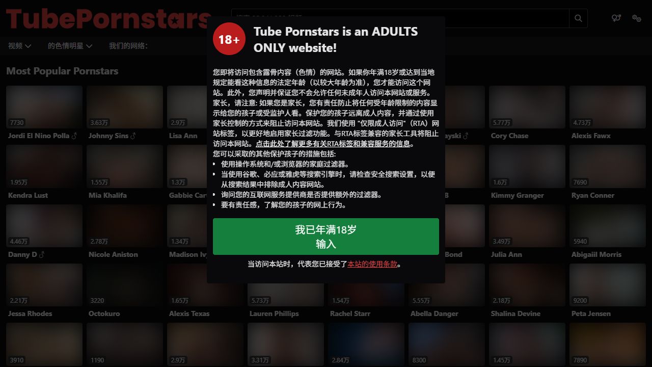 TubePornstars 最新网站截图