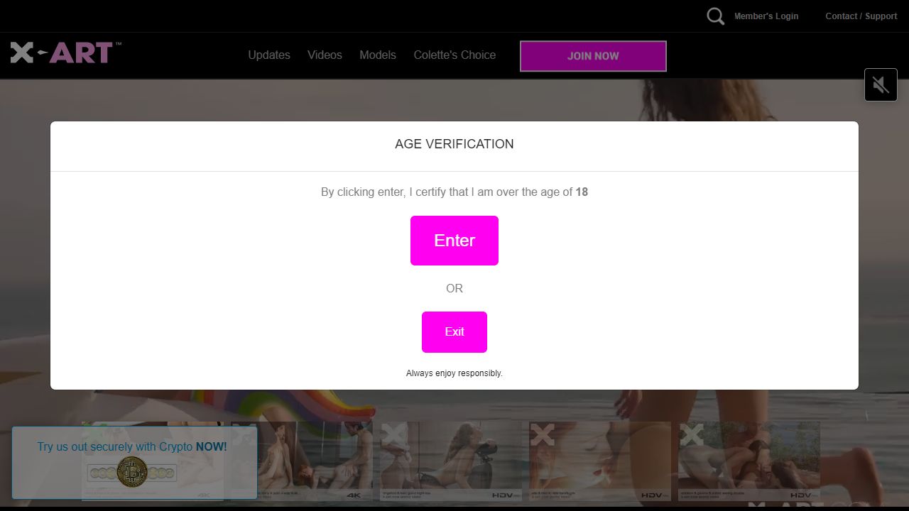 x-art 最新网站截图